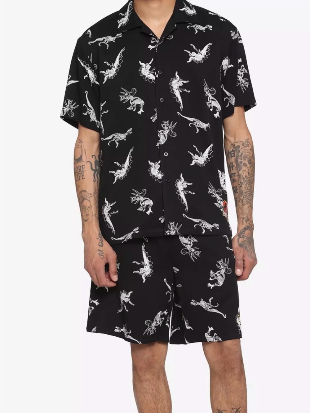 Jurassic Park 2 Piece Set